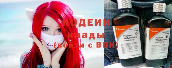 крисы Инта