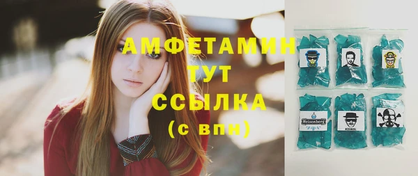 крисы Инта