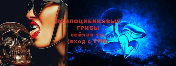 крисы Инта
