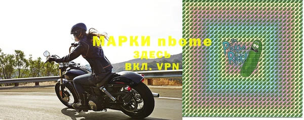 крисы Инта