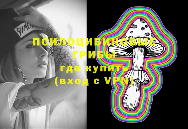 крисы Инта