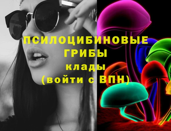 крисы Инта