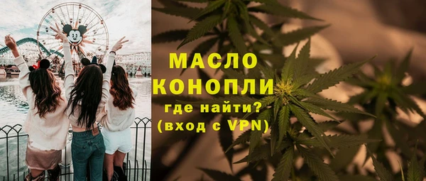 крисы Инта