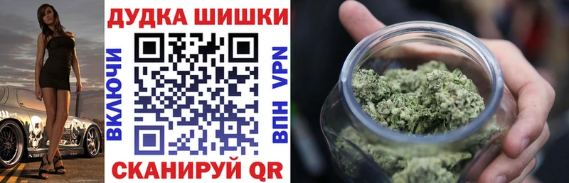 Купить где  Себеж  Бошки Шишки конопля 